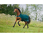 Chemise de marcheur anti-mouches  Economy Light