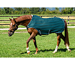 Chemise de marcheur anti-mouches  Economy Light