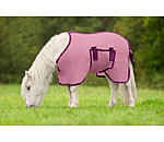 Couverture anti-mouches poulain et mini shetland  Kubi Fly