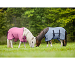 Couverture anti-mouches poulain et mini shetland  Kubi Fly
