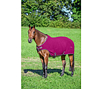 Chemise de marcheur en polaire  Activity