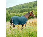 Chemise de marcheur en polaire  Activity