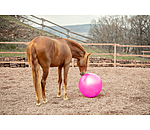 Grosse balle de jeu pour chevaux