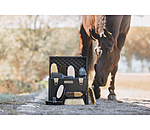 Coffre de pansage  Alu Case Classic Line