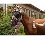 Do pour chevaux  Orange Noix