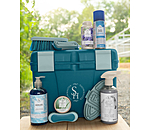 Fortifiant pour sabots avec pinceau