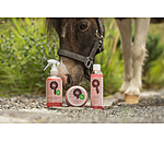 Baume paillet� pour sabots  Champion