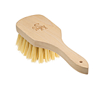 Brosse  sabots  Flora