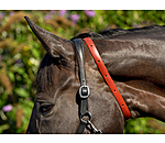 Collier anti-parasites pour cheval