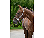 Licol en nylon � prix cass� II