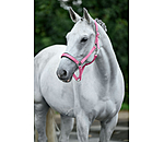 Licol en nylon � prix cass� II