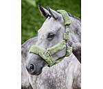 Licol en polaire Teddy  Protection