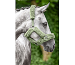 Licol en polaire Teddy  Protection