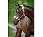 Licol en polaire Teddy  prix cass III