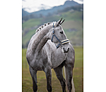 Licol en polaire Teddy  prix cass III