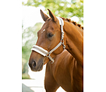 Licol en polaire Teddy � prix cass� III