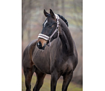 Licol en polaire Teddy  prix cass III