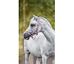 Licol poulain et shetland  Grow With You