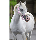 Licol poulain et shetland en polaire Teddy  Cozy Adjustable