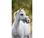 Licol poulain et shetland en polaire Teddy  Cozy Adjustable