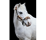 Licol poulain et shetland en polaire Teddy  Cozy Adjustable