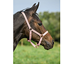 Licol poulain et shetland  Shimmering