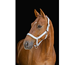 Licol anatomique  Relaxation