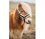 Licol pour poulain et shetland  Shine