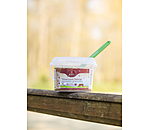 Mash2go  R�ve hivernal