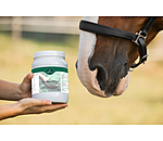 Granuls de spiruline