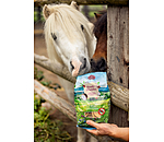 Assortiment de friandises  Bienfaits de l'ail