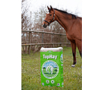 Foin  TopHay