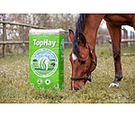 Foin  TopHay