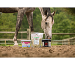 M�lange d'herbes Senior