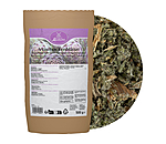 Feuilles d'artichaut