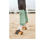 Bandes en polaire  Essential
