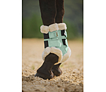 Gutres de dressage en polaire Teddy  Essential (antrieurs)