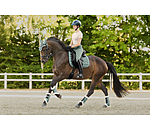 Gu�tres de dressage en polaire Teddy  Essential (ant�rieurs)