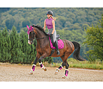 Gutres de dressage en polaire Teddy  Essential (antrieurs)