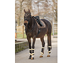 Gu�tres de dressage en polaire Teddy  Essential (post�rieurs)