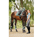 Gu�tres de dressage en polaire Teddy  Essential (post�rieurs)