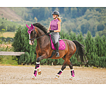 Gutres de dressage en polaire Teddy  Essential (postrieurs)