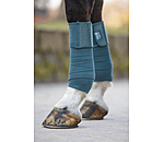 Bandes en polaire  Sparkling II