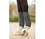 Bandes en polaire  Sparkling II