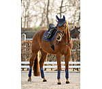Bandes en polaire  Sparkling II