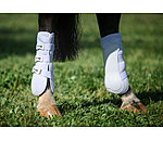 Gutres pour postrieurs  Perfect Protection Air mesh