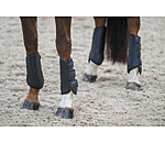Gu�tres de dressage  All Day ant�rieurs
