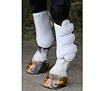 Gu�tres de dressage  All Day ant�rieurs