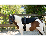 Surfaix de voltige  Entrance