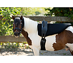 Housse pour pad de voltige